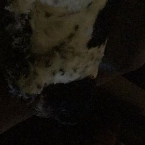 Meet your Posher, Annalee